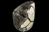 Polished Septarian Geode Sculpture - Black Crystals #99443-3